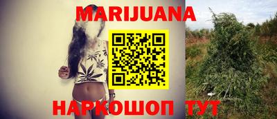 прущие грибы Будённовск