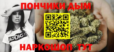 прущие грибы Будённовск