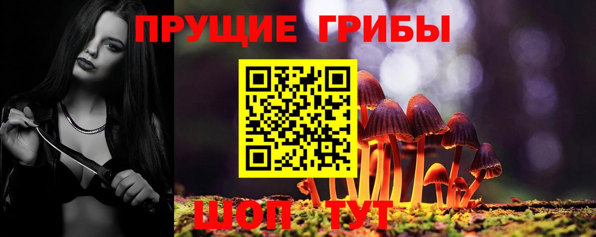 Черняховск  Галлюциногенные грибы мухоморы  Псилоцибиновые грибы MAGIC MUSHROOMS  Вход с VPN 