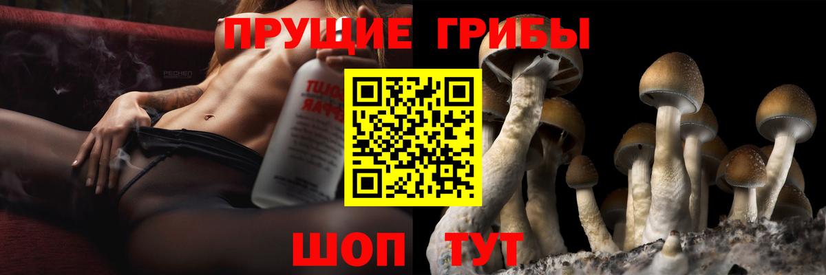 Псилоцибиновые грибы мицелий Черняховск